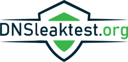 DNS leak test logo